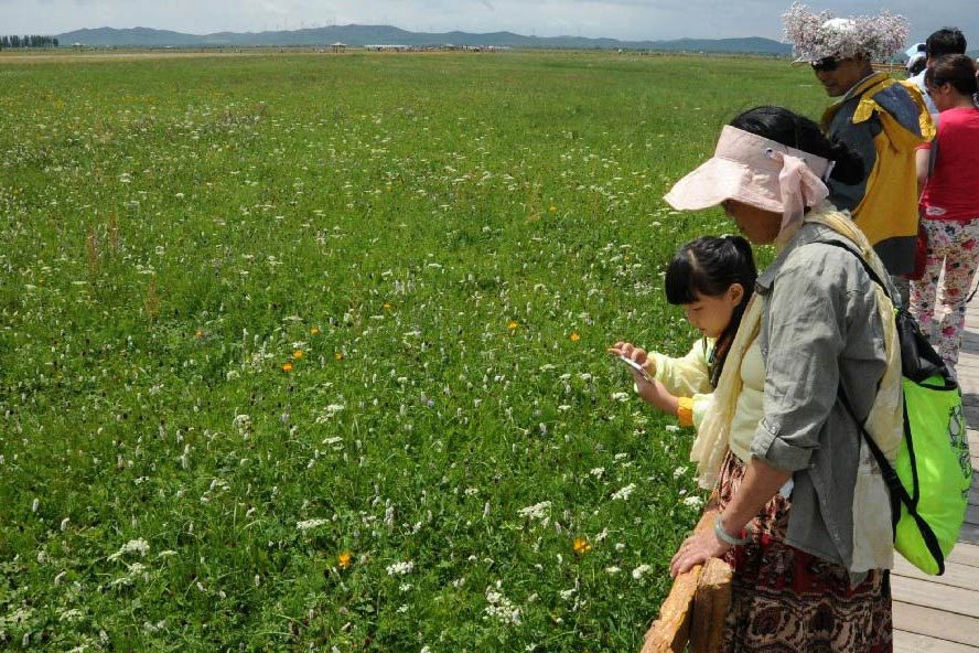 Turistas visitan un lugar pintoresco en la pradera Bashang e en el distrito de Guyuan, provincia de Hebei, norte de China, el 20 de julio de 2013. La pradera ha atraído a muchos turistas para disfrutar del clima fresco. (Xinhua / Wang Xiao)