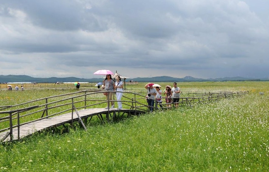 Turistas disfrutan del clima fresco en Prado de Bashang