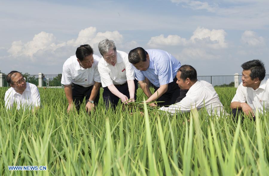 Xi urge a profundización de reforma y apertura