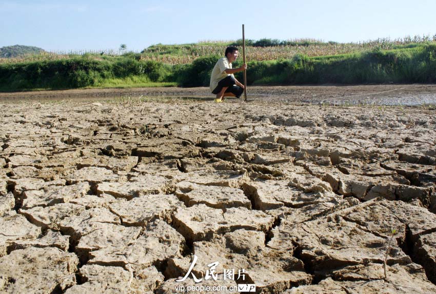Sequía continúa azotando el centro de China