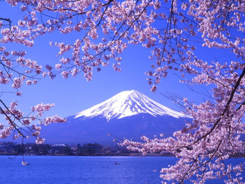 Posición número 3: Tokio, JapónPuesto en 2012: 1