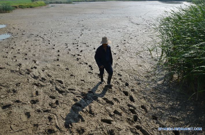 Sequía afecta a 1,17 millones de personas en centro de China