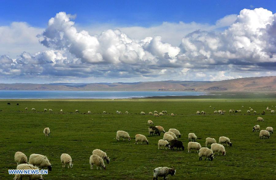 Tíbet: Bello paisaje de Damxung 7