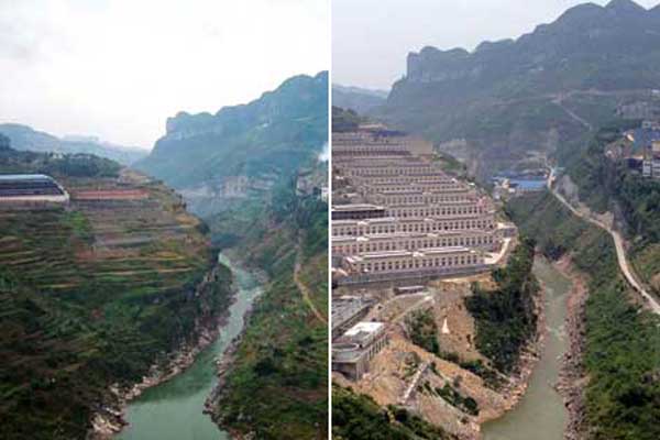Ecosistema de peces en el río Yangtsé ‘al borde del colapso’