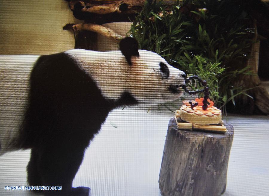 Pandas gigantes, Tuantuan y Yuanyuan, celebran su 9 cumpleaños en Taipei