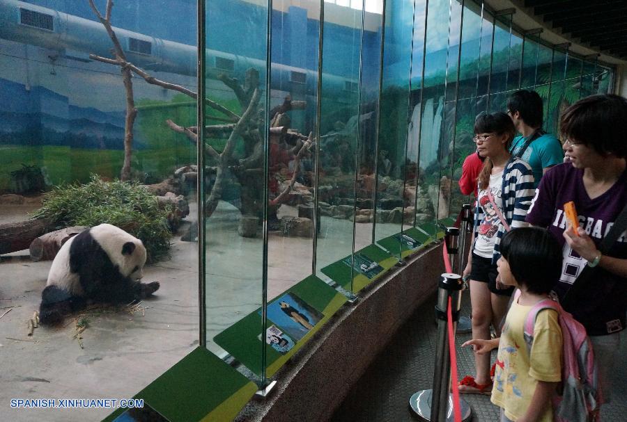 Pandas gigantes, Tuantuan y Yuanyuan, celebran su 9 cumpleaños en Taipei