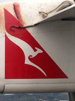 Encuentran serpiente a bordo de un avión de Qantas
