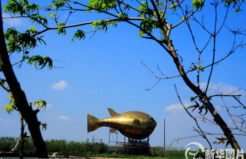 Pez globo gigante en Yangzhong
