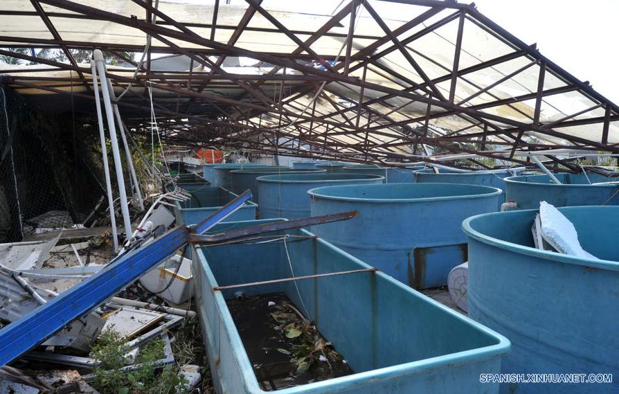 Siguen desaparecidos 58 pescadores por tifón "Wutip" (3)