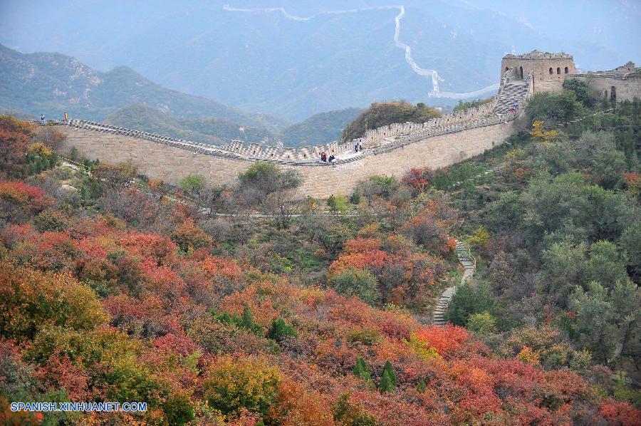 Hojas rojas de arce anuncian la llegada del otoño en la Gran Muralla