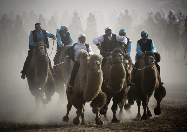 Carreras de camellos en Xinjiang