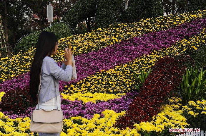 Exhibición de Crisantemos de Wuhan (4)
