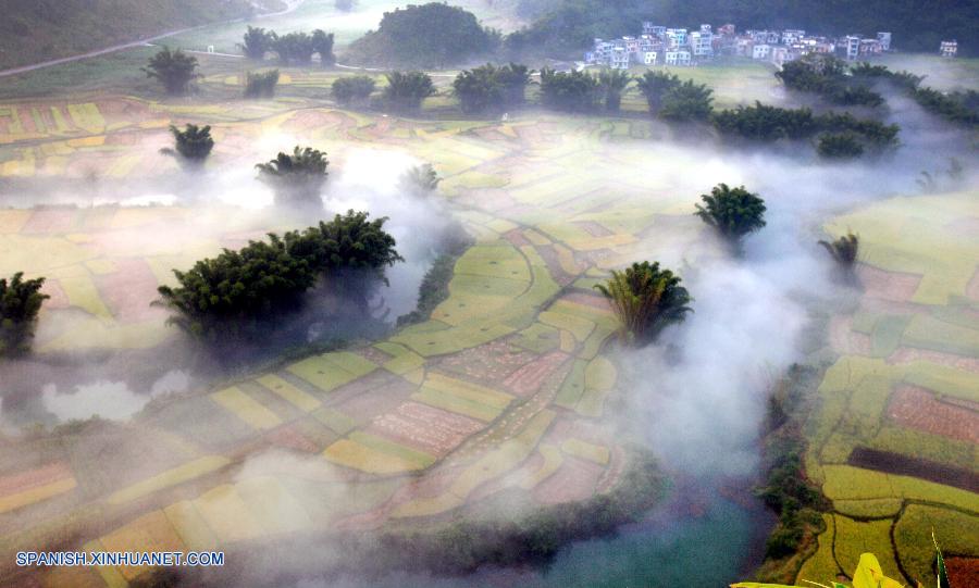 La niebla cubre terraza de arroz de Guangxi 