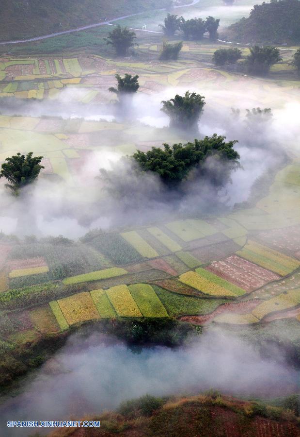 La niebla cubre terraza de arroz de Guangxi  3