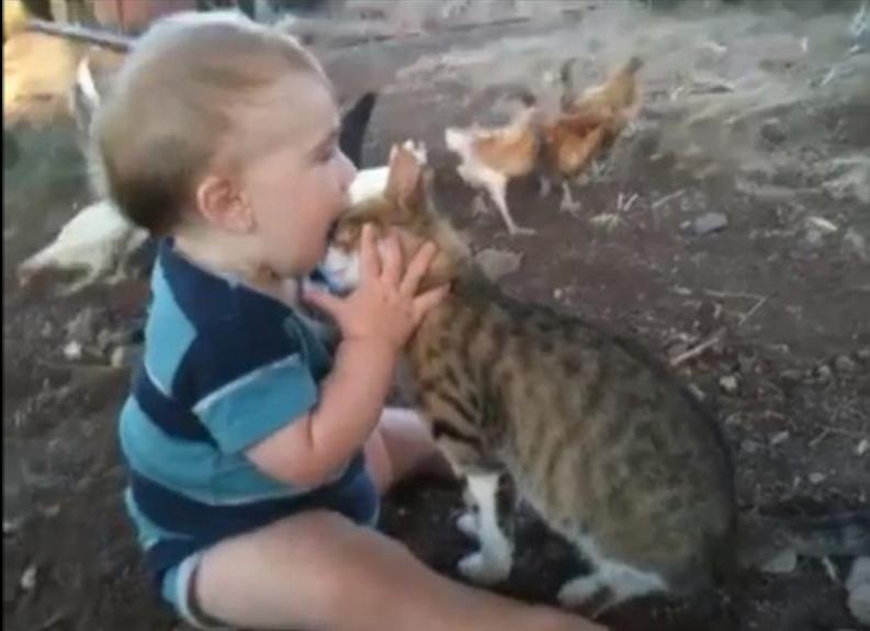 Los bebés y los animales (3)