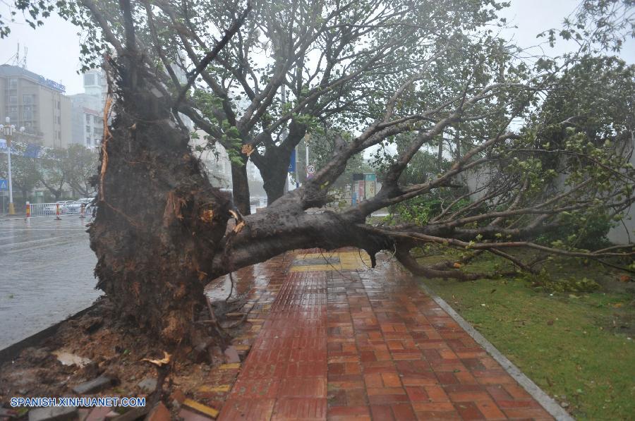 Tifón Haiyan lleva vendavales y aguaceros a sur de China