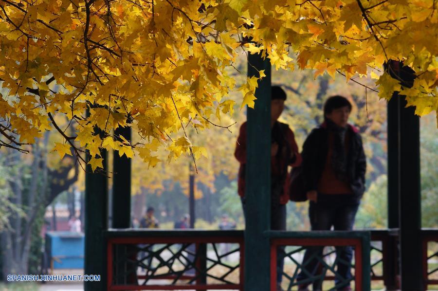Beijing: El otoño cubre de tonos dorados