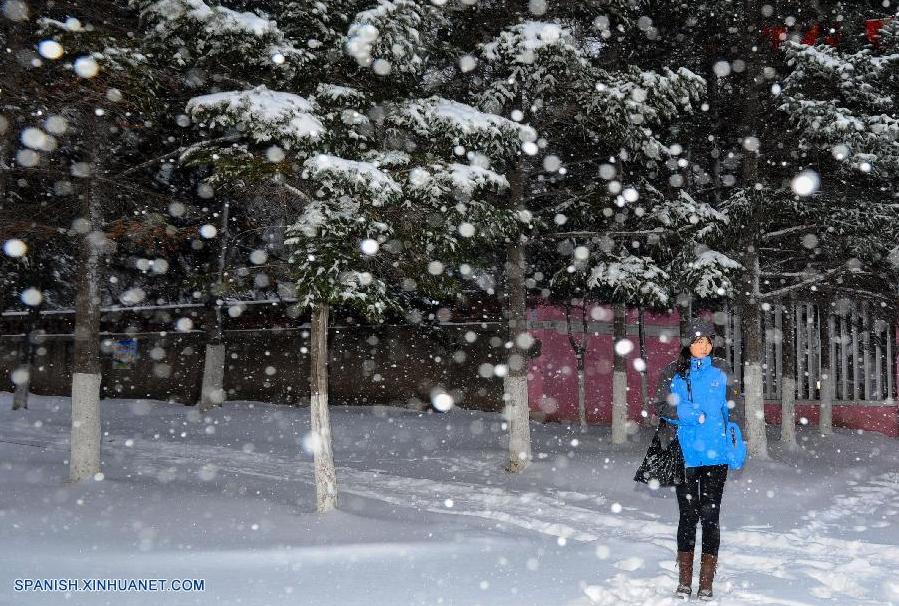 Cierran escuelas y carreteras por tempestad de nieve en nordeste de China