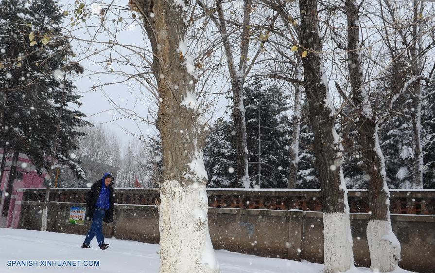Cierran escuelas y carreteras por tempestad de nieve en nordeste de China (2)