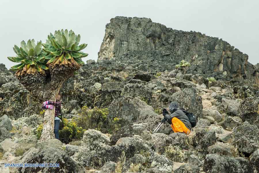 Monte Kilimanjaro El Pico Mas Alto De Africa 10