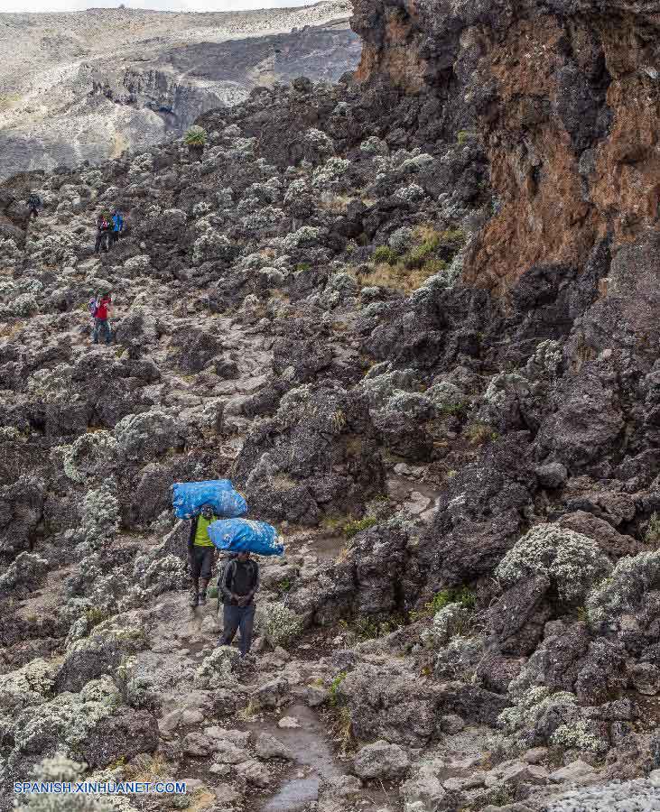 Monte Kilimanjaro: El Pico más alto de África 