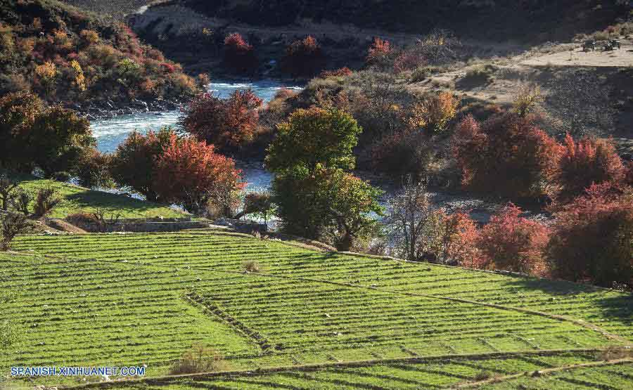 Sichuan: Un paisaje hermoso del río Jin Sha Jiang