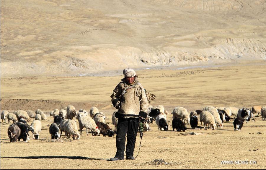 Nueva imagen de los pueblos del Tíbet gracias a la ayuda del gobierno