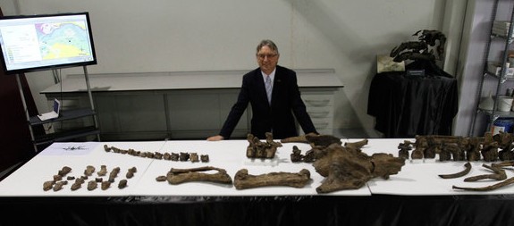 Descubierto en Teruel el dinosaurio acorazado más completo de Europa
