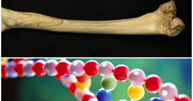 El ADN humano más antiguo pone “patas arriba” la evolución