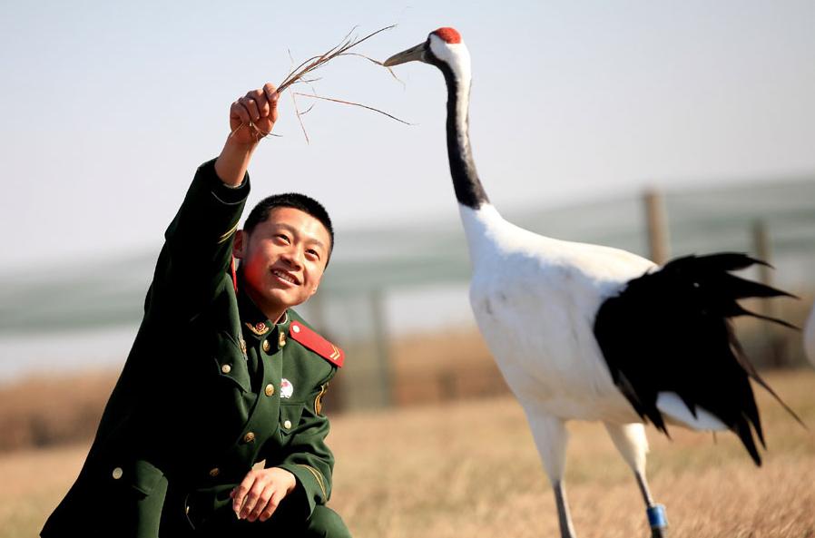 Paraíso de las aves migratorias en el este de China