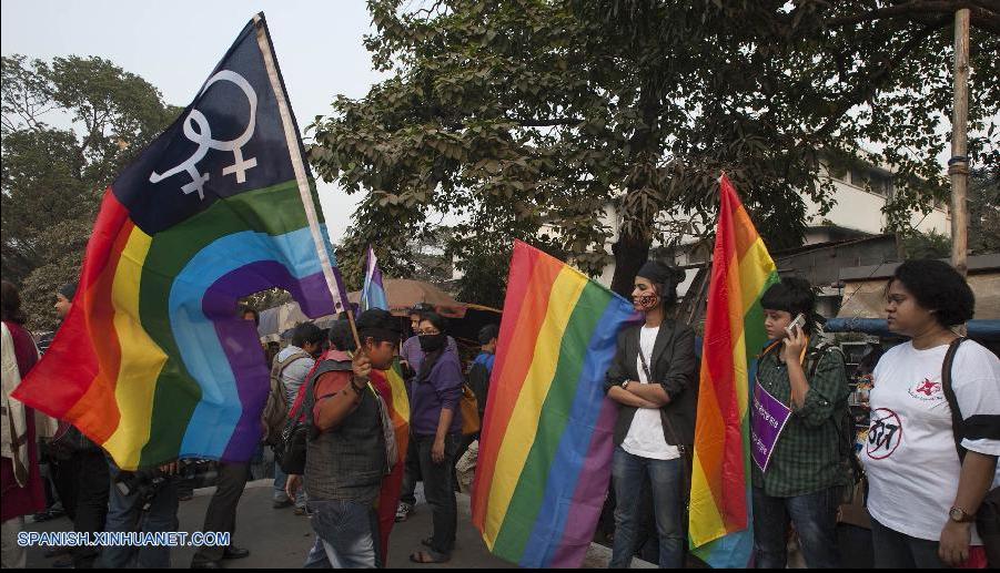 India: Manifestantes protestan por la criminalización de la homosexualidad (4)