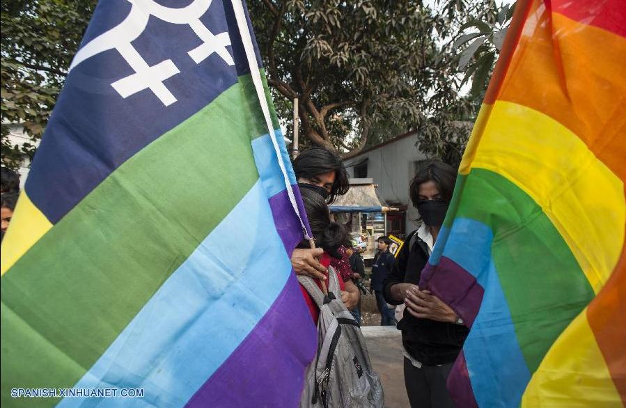 India: Manifestantes protestan por la criminalización de la homosexualidad (2)