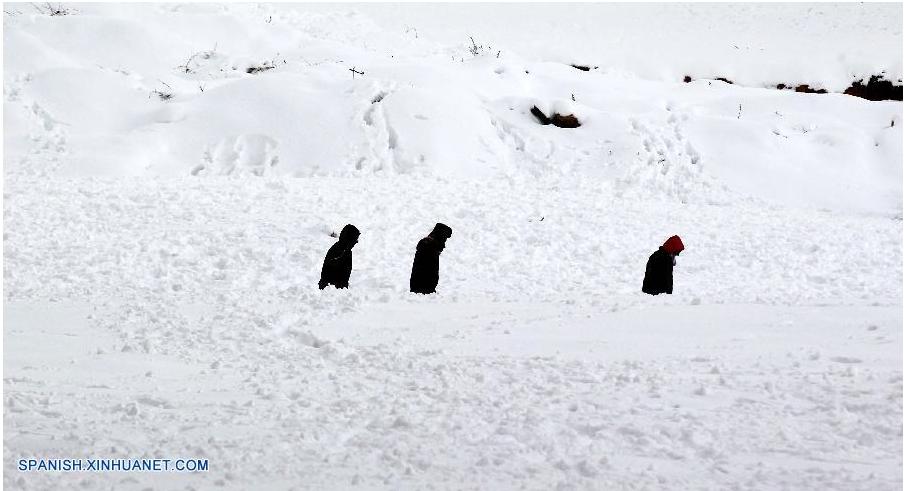Aerolínea jordana cancela vuelos de nuevo por fuerte nevada