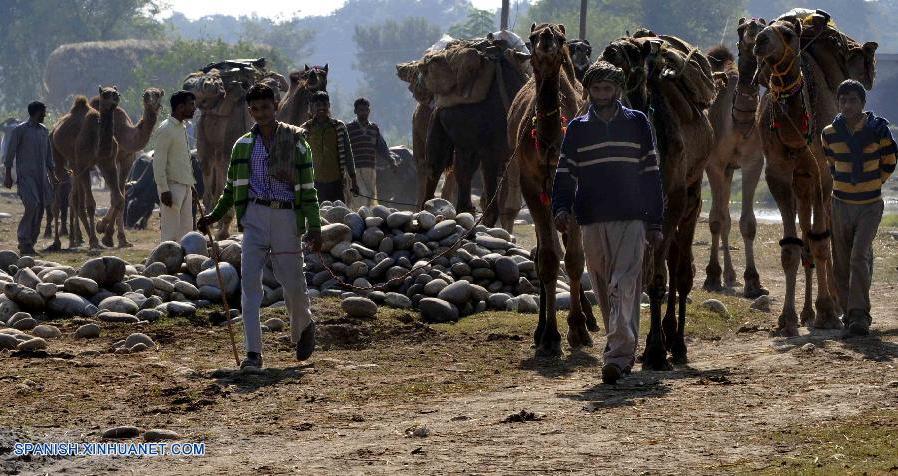 Feria de camellos en la ciudad de Jammu