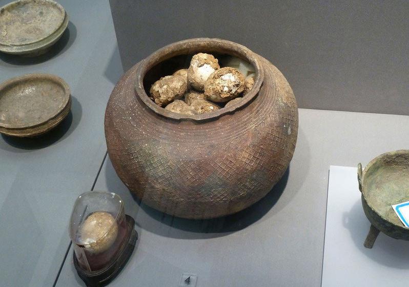 Exhiben huevos fosilizados de 2800 años de antigüedad