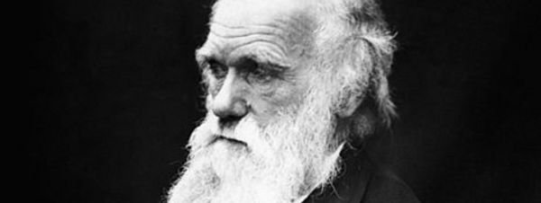 Nuevo estudio desafía a la “Teoría de las Especies” de Darwin