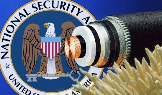 La NSA espió un cable submarino de telecomunicaciones Europa-Asia