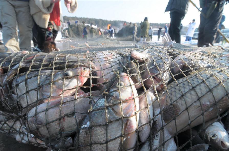 Pesca en el hielo del noreste de China (5)