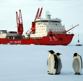 Científicos están tranquilos en rompehielos chino varado en Antártida