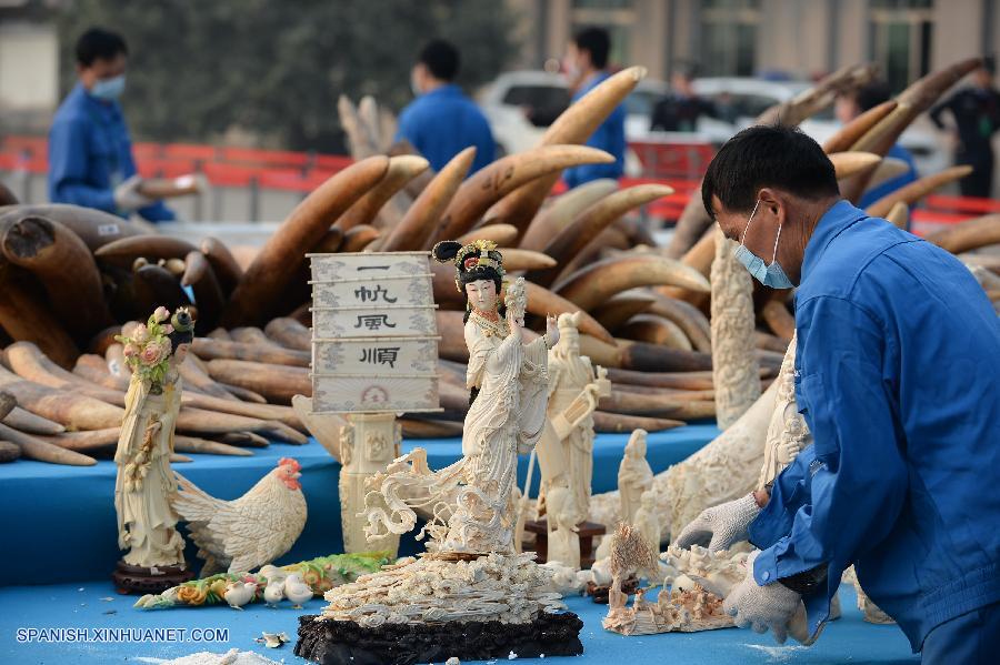 EEUU elogia decisión china de destruir toneladas de marfil ilegal