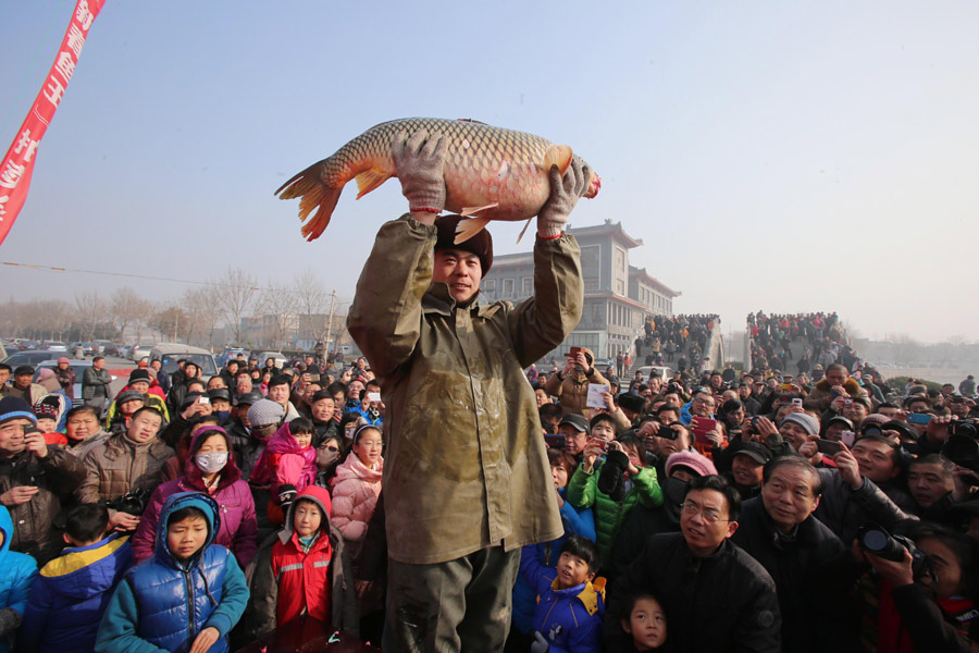 Tradicional subasta de pescado en Henan
