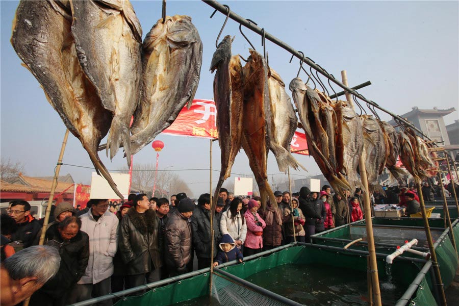 Ciudadanos acuden a la primera subasta de pescado en el lago Longting, Kaifeng, provincia de Henan, que marca el inicio de la temporada de pesca en el lago, el 18 de enero de 2013. El pescado que se subasta es de gran variedad y peso, llegando incluso a los 15 kilos por unidad. Foto por Li Junsheng / China Daily
