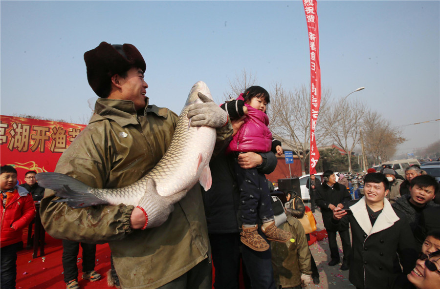 La primera subasta de pescado en el lago Longting, Kaifeng, provincia de Henan, marca el inicio de la temporada de pesca en el lago, el 18 de enero de 2013. El pescado que se subasta es de gran variedad y peso, llegando incluso a los 15 kilos por unidad. Foto por Li Junsheng / China Daily