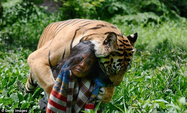 La Vida de Pi, la amistad entre un joven y un tigre  7