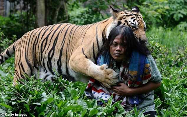 La Vida de Pi, la amistad entre un joven y un tigre  8