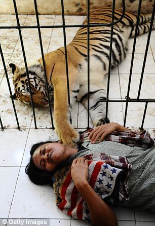 La Vida de Pi, la amistad entre un joven y un tigre  9
