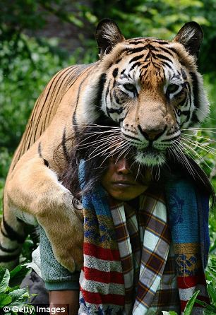 La Vida de Pi, la amistad entre un joven y un tigre  10