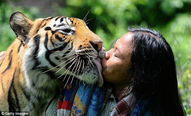 La Vida de Pi, la amistad entre un joven y un tigre 