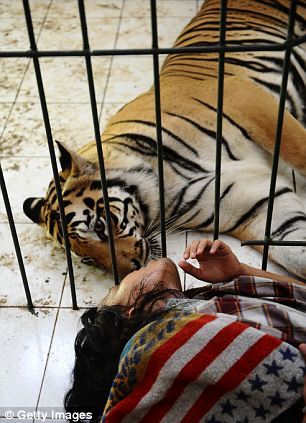 La Vida de Pi, la amistad entre un joven y un tigre  6