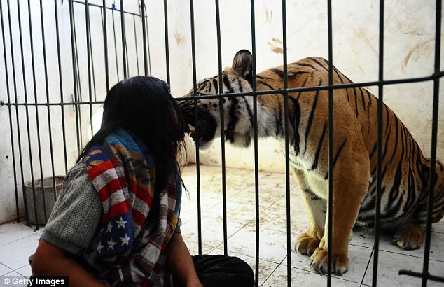 La Vida de Pi, la amistad entre un joven y un tigre  4